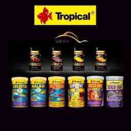 Tropical
